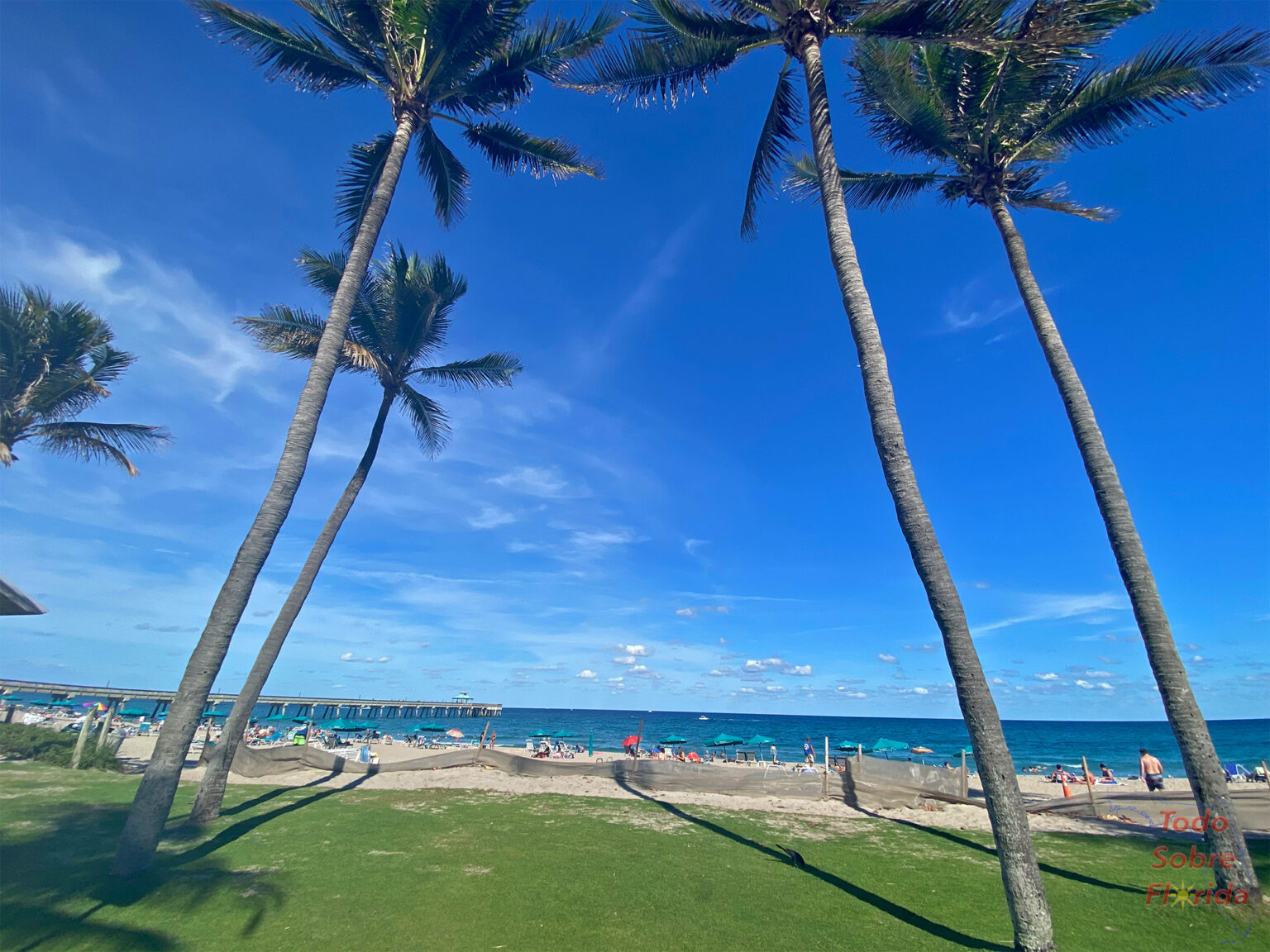 Beach days in Deerfield Beach