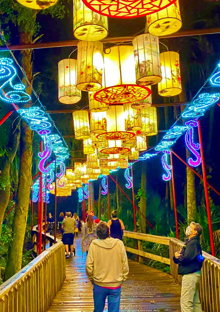 Asian Lantern Festival: Into the Wild!