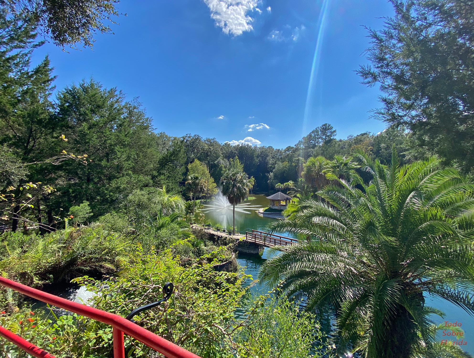 Cedar Lakes Woods and Gardens A Hidden Corner of Natural Beauty in